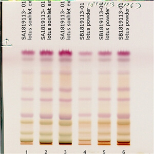 HPTLC ms