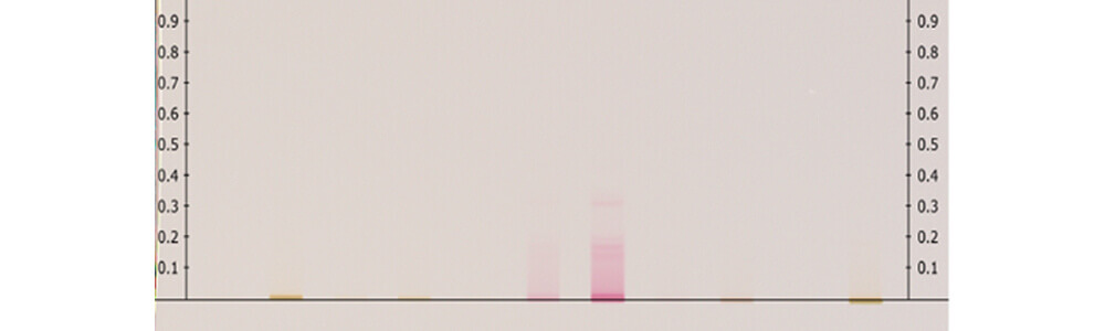 thin layer chromatography plate